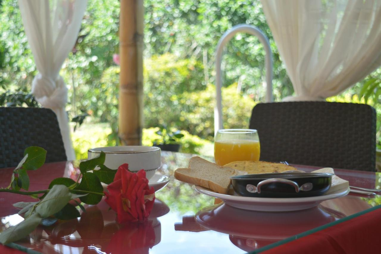 Hotel Campestre Sueno Del Abuelo بيريرا المظهر الخارجي الصورة